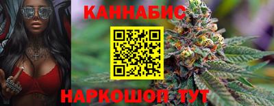 шишки Лесосибирск