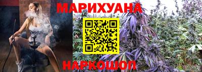 шишки Лесосибирск