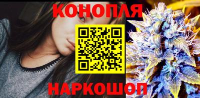 шишки Лесосибирск