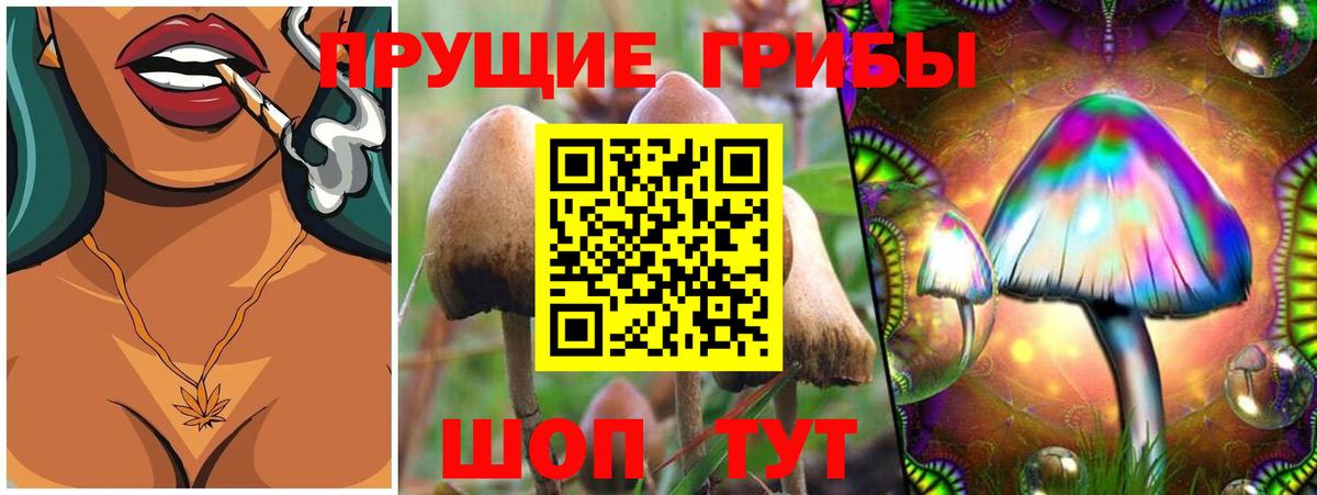 Владикавказ  как найти закладки  Вход с VPN  Псилоцибиновые грибы Psilocybine cubensis 